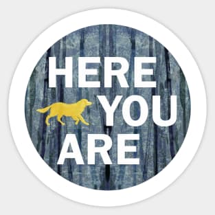 Here you are - Gold Sticker